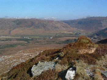 Naturally fertilised 'green knoll' where raptors perch in Beinn Eighe NNR